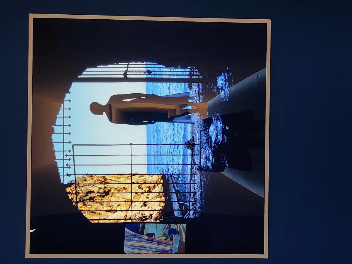 Isaac Julien Gallery Image 19